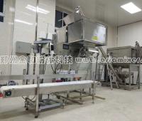 JHRB2000 full SS304 ribbon horizontal powder mixer ship to Italia